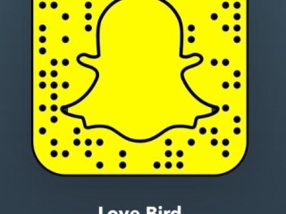 female-escorts-in-tampa-fl