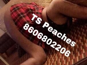 shemale-escort-in-philadelphia-pa