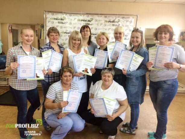 otdam-v-dobrye-ruki-v-sanktpeterburge-predlozenie-uslugi-v-obieiavlenii-u23844389-na-baraxlanet-big-0
