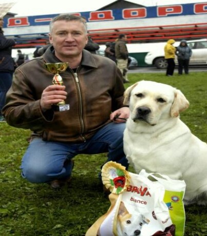 viazka-labradorretriver-v-tiumeni-predlozenie-uslugi-v-obieiavlenii-u21774164-na-baraxlanet-big-4