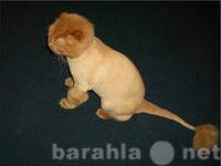 ishhem-devocku-porody-alobai-dlia-viazki-v-novokuznecke-predlozenie-uslugi-v-obieiavlenii-u6590532-3257593-na-baraxlanet-big-3