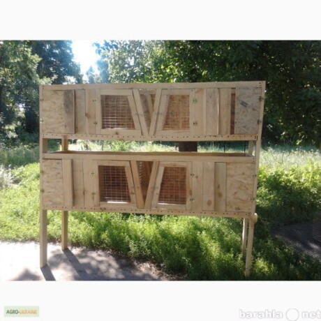 kletka-dlia-krolikov-i-sinsilov-v-kemerovo-predlozenie-uslugi-v-obieiavlenii-u10157764-4522134-na-baraxlanet-big-3