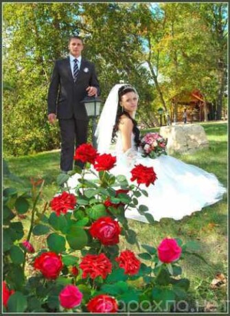 vypusknoi-utrennik-v-detskom-sadu-foto-v-penze-predlozenie-uslugi-v-obieiavlenii-u27593820-na-baraxlanet-big-5