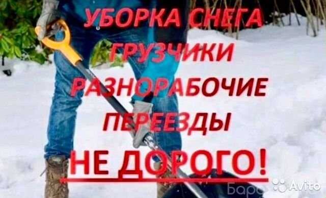 raznorabocie-v-kemerovo-predlozenie-uslugi-v-obieiavlenii-u27330447-na-baraxlanet-big-2