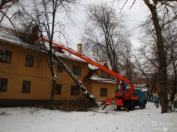 snos-avariinyx-derevev-v-novosibirske-predlozenie-uslugi-v-obieiavlenii-u6735060-3390800-na-baraxlanet-big-5
