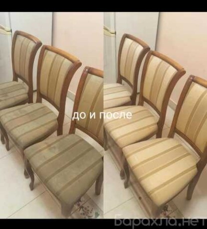 unictozenie-nasekomyx-v-kemerovo-predlozenie-uslugi-v-obieiavlenii-u27706386-na-baraxlanet-big-5