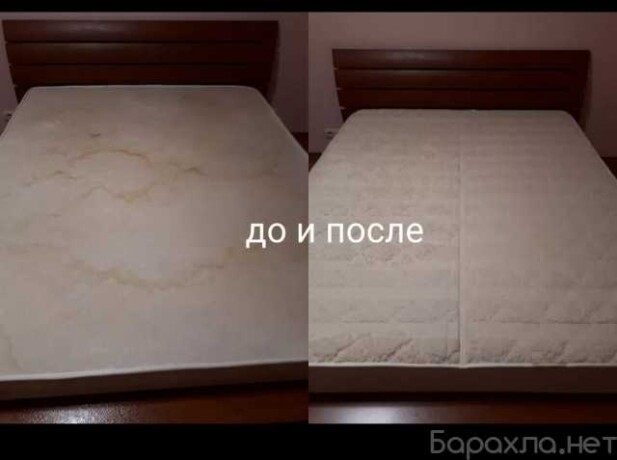 unictozenie-nasekomyx-v-kemerovo-predlozenie-uslugi-v-obieiavlenii-u27706386-na-baraxlanet-big-1