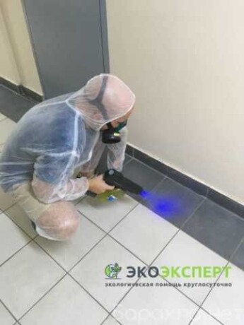 klining-uborka-myte-okon-v-astraxani-predlozenie-uslugi-v-obieiavlenii-u27691731-na-baraxlanet-big-4