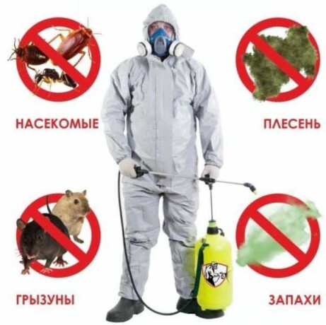 professionalnoe-unictozenie-nasekomyx-v-tiumeni-predlozenie-uslugi-v-obieiavlenii-u27489575-na-baraxlanet-big-2