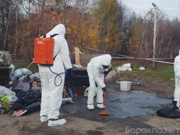 vyvoz-musoragruzciki-936937-v-xabarovske-predlozenie-uslugi-v-obieiavlenii-u26318523-na-baraxlanet-big-0