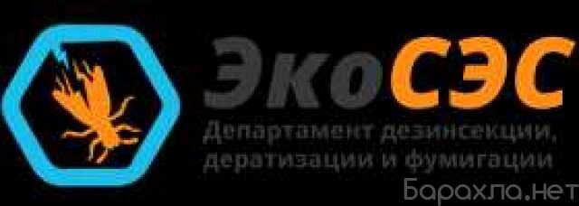 unictozenie-nasekomyx-i-gryzunov-v-permi-predlozenie-uslugi-v-obieiavlenii-u27239670-na-baraxlanet-big-2