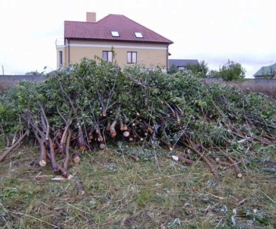 uborka-pomeshhenii-klining-v-penze-predlozenie-uslugi-v-obieiavlenii-u27164038-na-baraxlanet-big-3