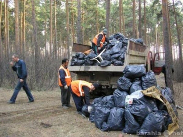 uborka-territorii-snega-vyvoz-musora-v-cite-predlozenie-uslugi-v-obieiavlenii-u8004105-3788102-na-baraxlanet-big-2