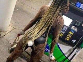 diamond-shemale-escort-in-raleigh-nc
