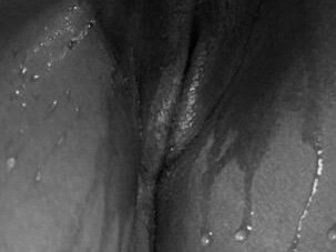 raignnai-female-escorts-in-louisville-ky