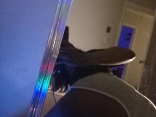 chocolate-bunny-female-escorts-in-nashville-tn