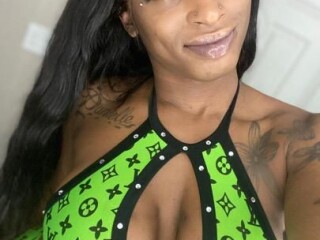 sarah-shemale-escort-in-newport-news-va