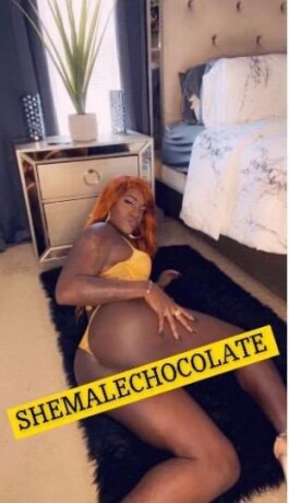 coco-chaneldyzdyz-shemale-escort-in-memphis-tn-561-917-8583-big-1