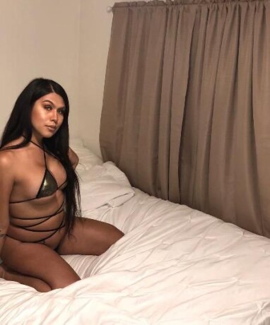 shemale-escort-in-houston-tx-505-585-1379-big-1