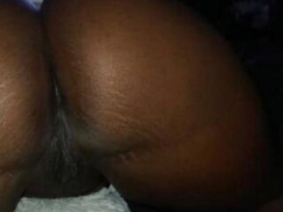 cocobunny-female-escorts-in-nashville-tn