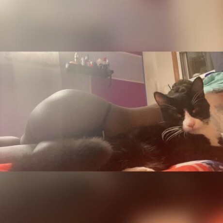 mistress-ariel-shemale-escort-in-the-bronx-ny-347-389-0098-big-4