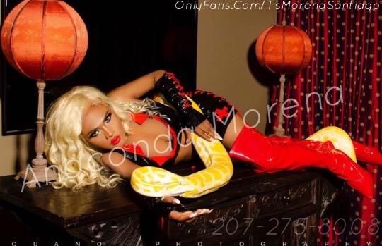 ts-morena-santiago-shemale-escort-in-warwick-ri-207-275-8008-big-4