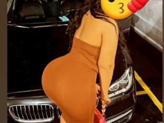 kat-female-escorts-in-the-bronx-ny
