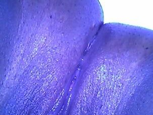 samiyah-sunday-female-escorts-in-portland-or