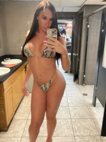 players-club-shemale-escort-in-tampa-fl-813-474-9184-big-0