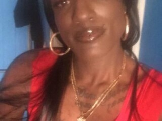 desire-female-escorts-in-the-bronx-ny