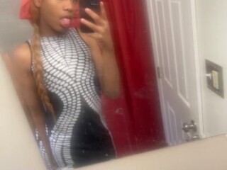 shemale-escort-in-washington-dc