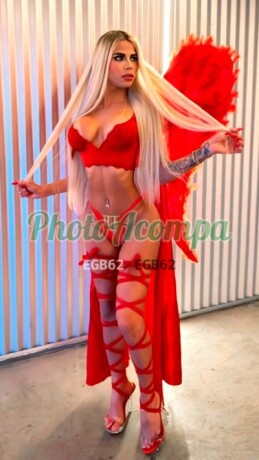 nick-92-99480-6956-trans-do-buque-rosa-e-dona-de-um-oral-magnafico-e-gostoso-photoacompanhantes-big-1