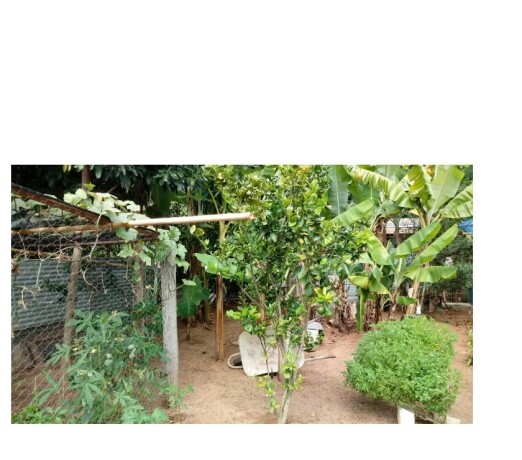chacara-em-vargem-sp-com-03-dormitorios-vargem-sp-chacaras-e-sitios-a-venda-big-3