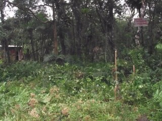 terreno-com-280mts-em-itanhaem-sp-itanhaem-sp-encontre-terrenos-a-venda-itanhaem-sp
