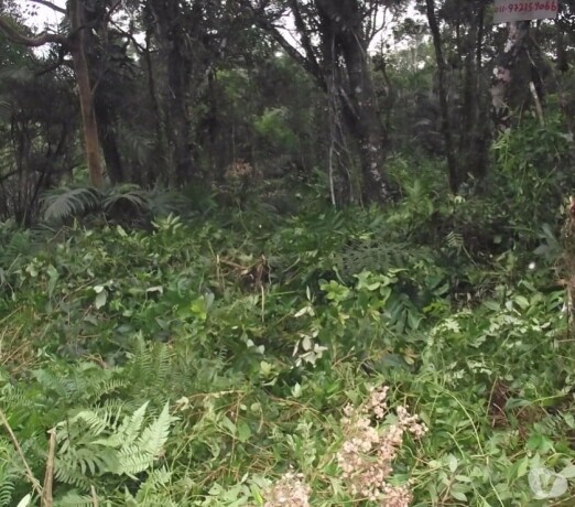 terreno-itanhaem-sp-35mil-itanhaem-sp-encontre-terrenos-a-venda-itanhaem-sp-big-1