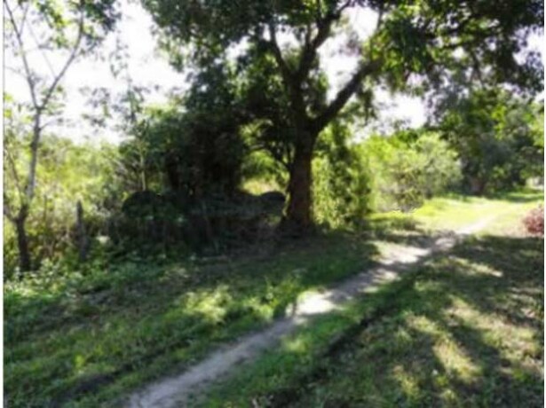 investidor-area-de-14-mil-m2plana-em-ponta-negra-marica-marica-rj-encontre-terrenos-a-venda-marica-rj-big-2